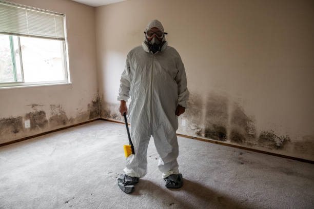 Best Mold Remediation for Specific Building Types in Schenectady, NY